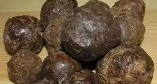 蜂胶4类人不能吃 看看吃蜂胶的禁忌有哪些