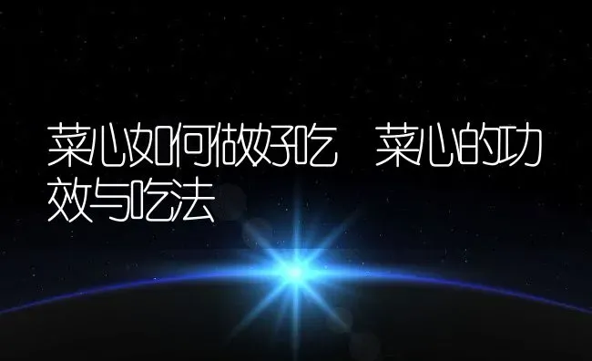 菜心如何做好吃 菜心的功效与吃法 | 养殖资料投稿