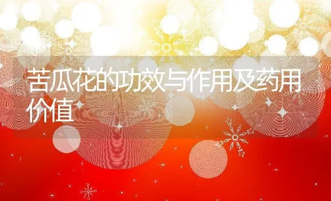 苦瓜花的功效与作用及药用价值 | 养殖资料投稿
