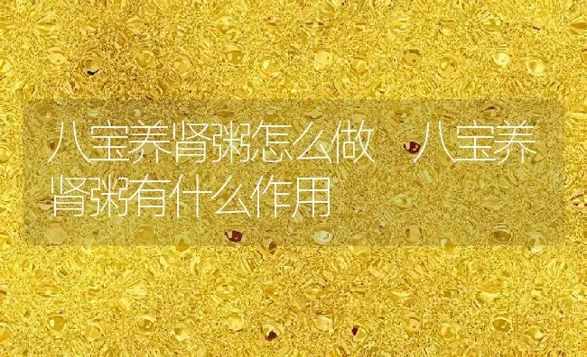 八宝养肾粥怎么做 八宝养肾粥有什么作用 | 养殖资讯
