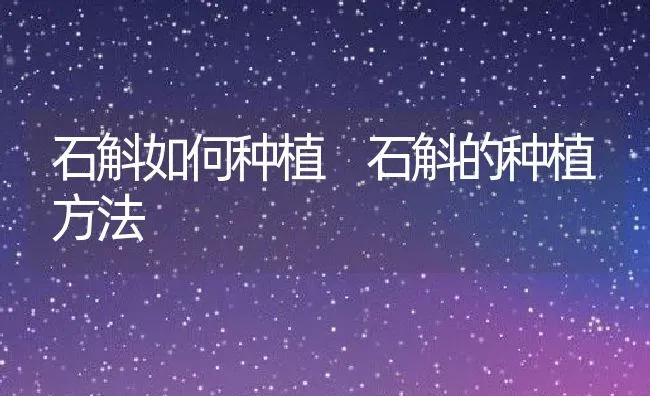 石斛如何种植 石斛的种植方法 | 养殖资料投稿