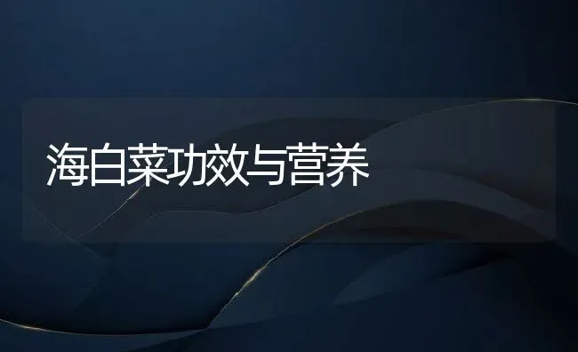 海白菜功效与营养 | 养殖资料投稿
