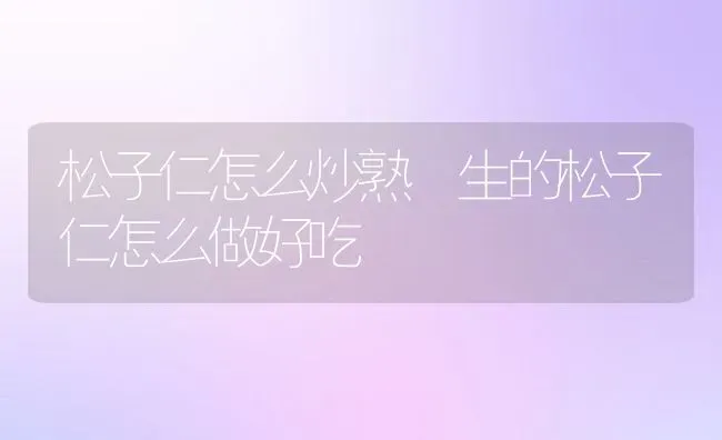 松子仁怎么炒熟 生的松子仁怎么做好吃 | 养殖资料投稿