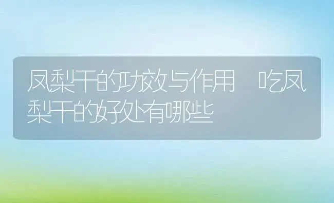 凤梨干的功效与作用 吃凤梨干的好处有哪些 | 养殖资料投稿