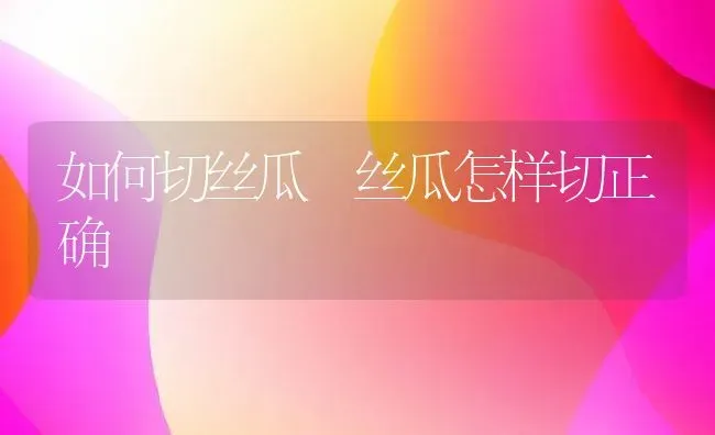 如何切丝瓜 丝瓜怎样切正确 | 养殖资料投稿