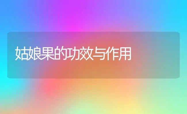 姑娘果的功效与作用 | 养殖资料投稿