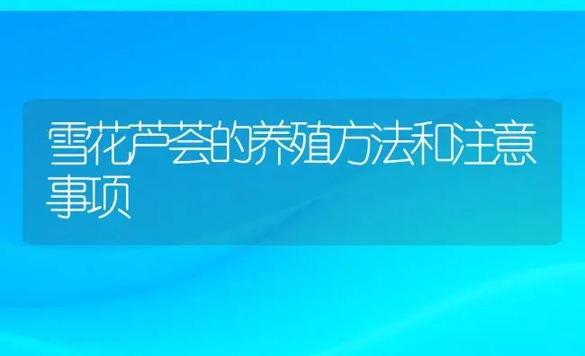 雪花芦荟的养殖方法和注意事项 | 养殖资料投稿