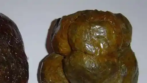 蜂胶4类人不能吃 看看吃蜂胶的禁忌有哪些