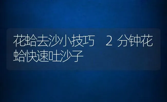 花蛤去沙小技巧 2分钟花蛤快速吐沙子 | 养殖资料投稿