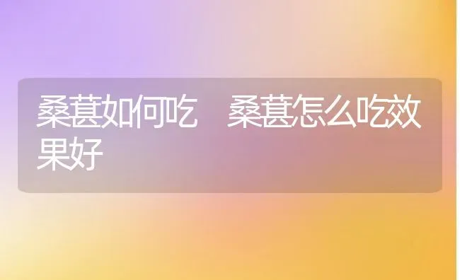 桑葚如何吃 桑葚怎么吃效果好 | 养殖资料投稿