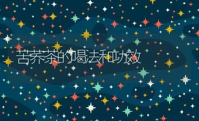 苦荞茶的喝法和功效 | 养殖资料投稿