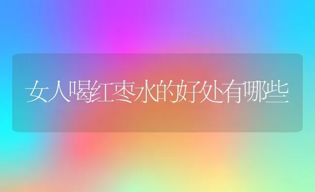 女人喝红枣水的好处有哪些 | 养殖资料投稿