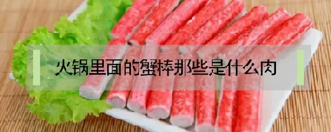 火锅里面的蟹棒那些是什么肉