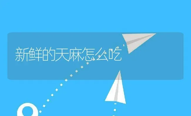 新鲜的天麻怎么吃 | 养殖资料投稿