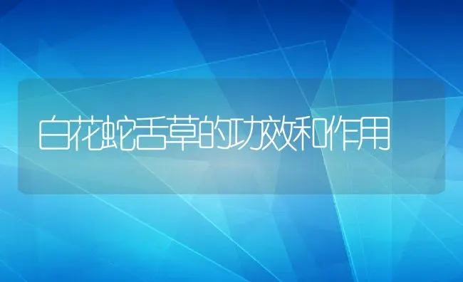 白花蛇舌草的功效和作用 | 养殖资料投稿