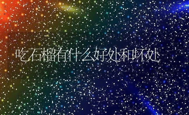 吃石榴有什么好处和坏处 | 养殖资料投稿