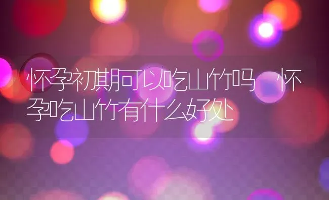 怀孕初期可以吃山竹吗 怀孕吃山竹有什么好处 | 养殖资料投稿