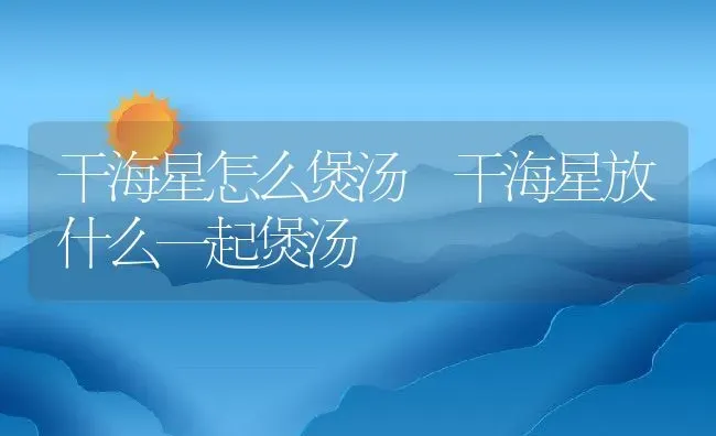 干海星怎么煲汤 干海星放什么一起煲汤 | 养殖资料投稿