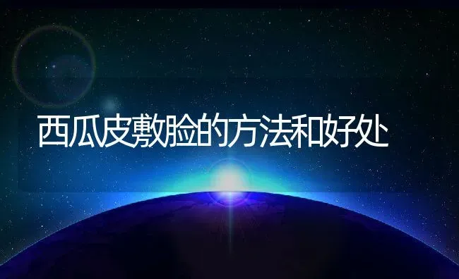 西瓜皮敷脸的方法和好处 | 养殖资料投稿