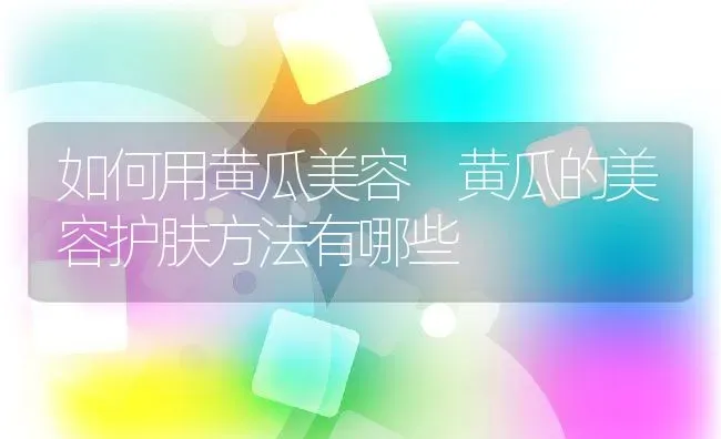 如何用黄瓜美容 黄瓜的美容护肤方法有哪些 | 养殖资料投稿