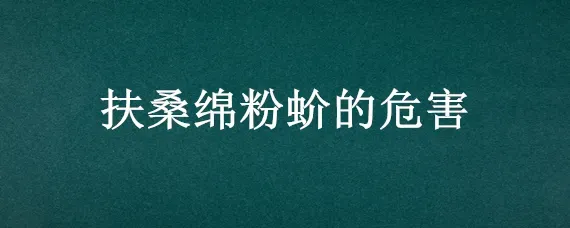 扶桑绵粉蚧的危害