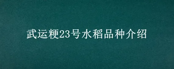 武运粳23号水稻品种介绍