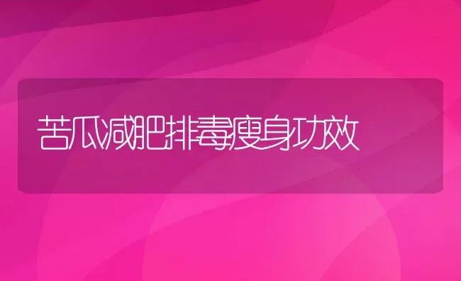 苦瓜减肥排毒瘦身功效 | 养殖资料投稿