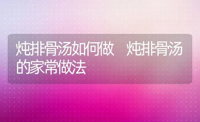 炖排骨汤如何做 炖排骨汤的家常做法 | 养殖资料投稿