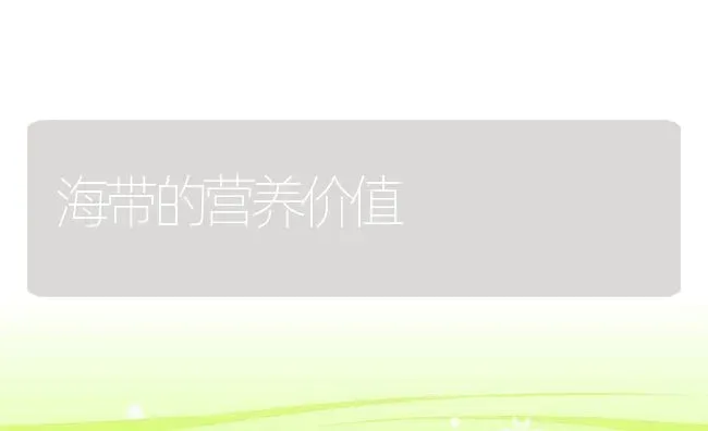 海带的营养价值 | 养殖资料投稿