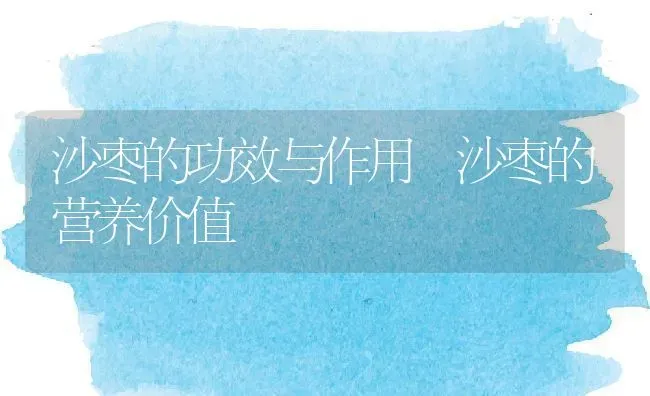 沙枣的功效与作用 沙枣的营养价值 | 养殖资料投稿