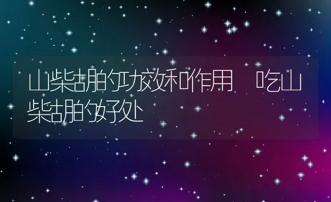 山柴胡的功效和作用 吃山柴胡的好处 | 养殖资料投稿
