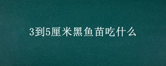 3到5厘米黑鱼苗吃什么