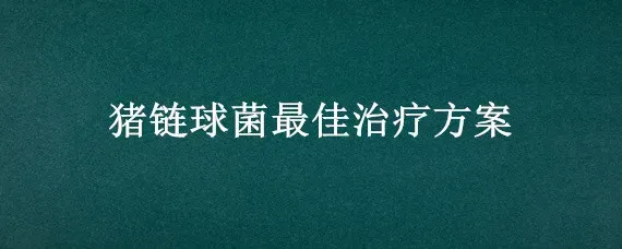 猪链球菌最佳治疗方案