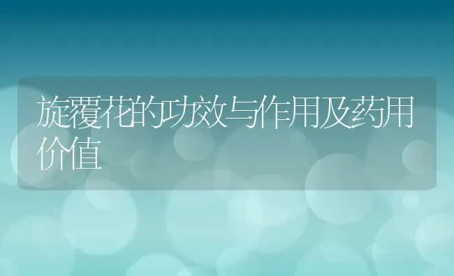 旋覆花的功效与作用及药用价值 | 养殖资料投稿