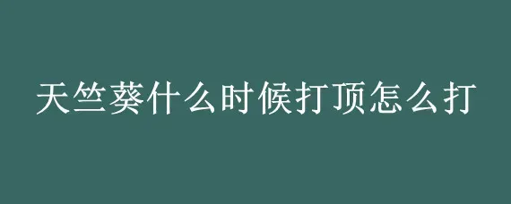 天竺葵什么时候打顶怎么打