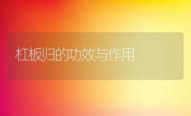 杠板归的功效与作用 | 养殖资料投稿