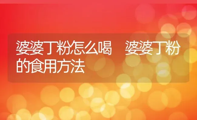 婆婆丁粉怎么喝 婆婆丁粉的食用方法 | 养殖资料投稿