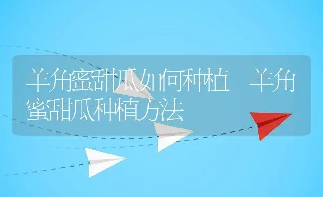 羊角蜜甜瓜如何种植 羊角蜜甜瓜种植方法 | 养殖资料投稿