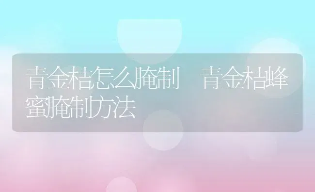 青金桔怎么腌制 青金桔蜂蜜腌制方法 | 养殖资料投稿