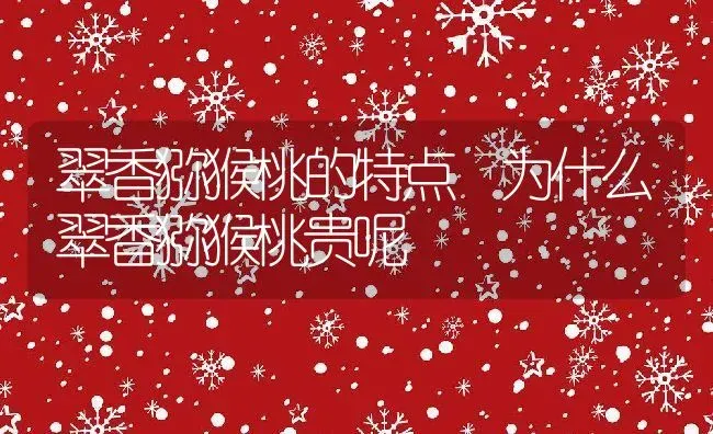 翠香猕猴桃的特点 为什么翠香猕猴桃贵呢 | 养殖资料投稿