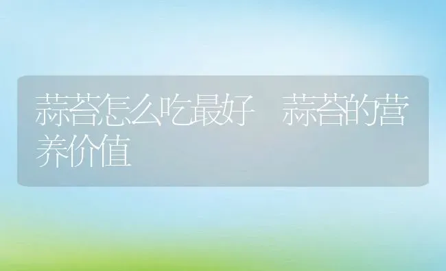 蒜苔怎么吃最好 蒜苔的营养价值 | 养殖资料投稿