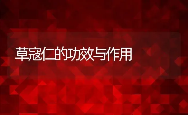 草寇仁的功效与作用 | 养殖资料投稿