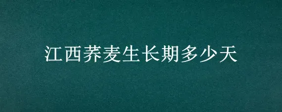 江西荞麦生长期多少天