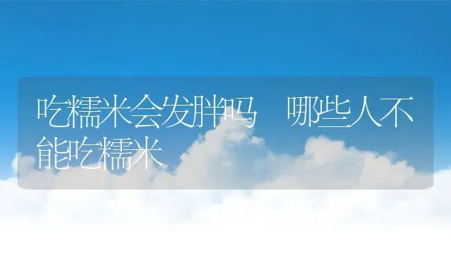 吃糯米会发胖吗 哪些人不能吃糯米 | 养殖资讯