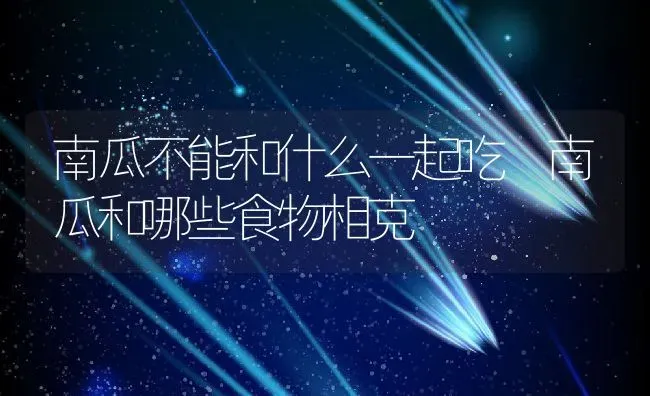 南瓜不能和什么一起吃 南瓜和哪些食物相克 | 养殖资料投稿
