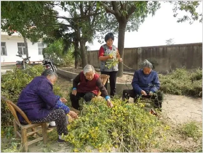 土地养老可不可行 | 养殖什么赚钱