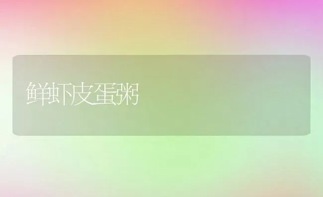 鲜虾皮蛋粥 | 养殖资讯