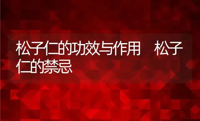 松子仁的功效与作用 松子仁的禁忌 | 养殖资料投稿