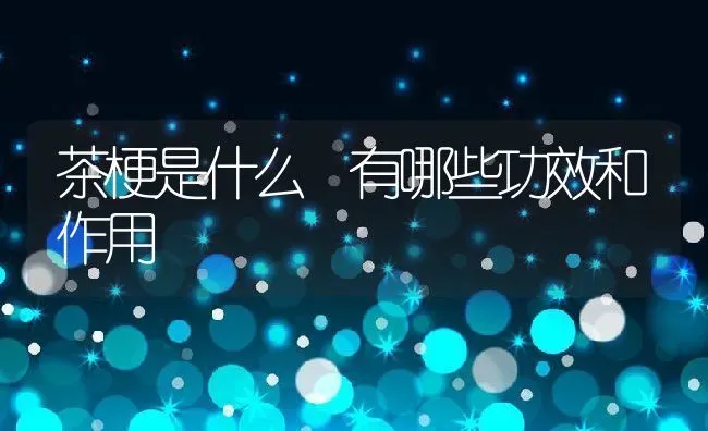 茶梗是什么 有哪些功效和作用 | 养殖资料投稿