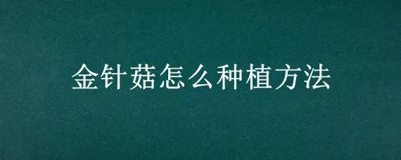 金针菇怎么种植方法